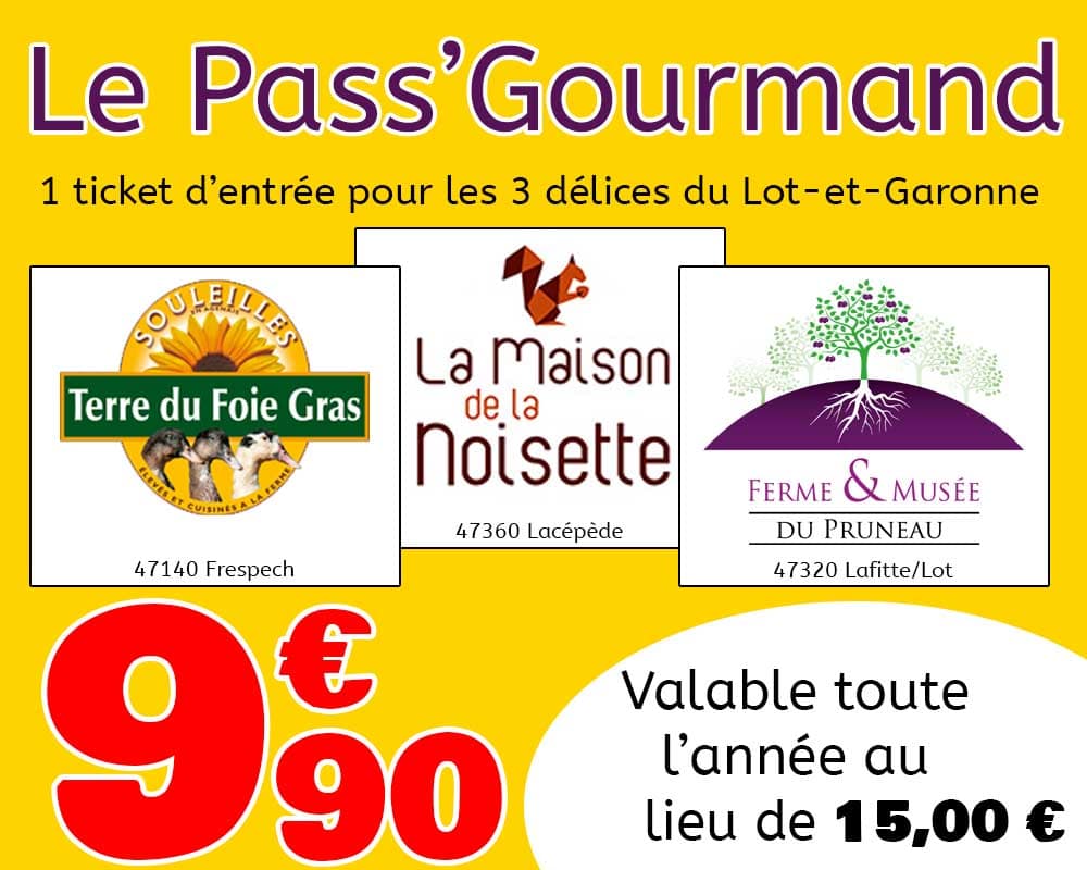 Pass' Gourmand pour 1 entrée au 3 délice du Lot et Garonne